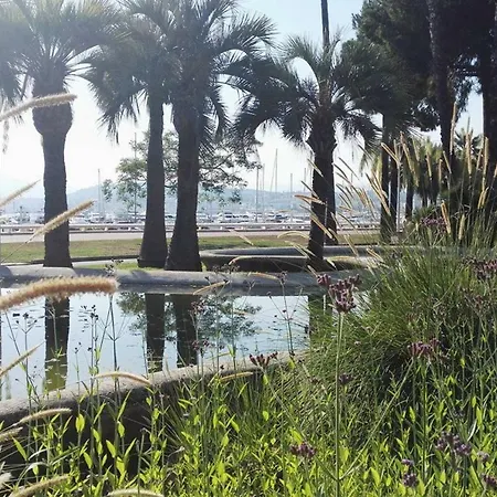 Lux Our Swimming Pool And Garden * Cannes