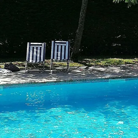 Lux Our Swimming Pool And Garden Apartment